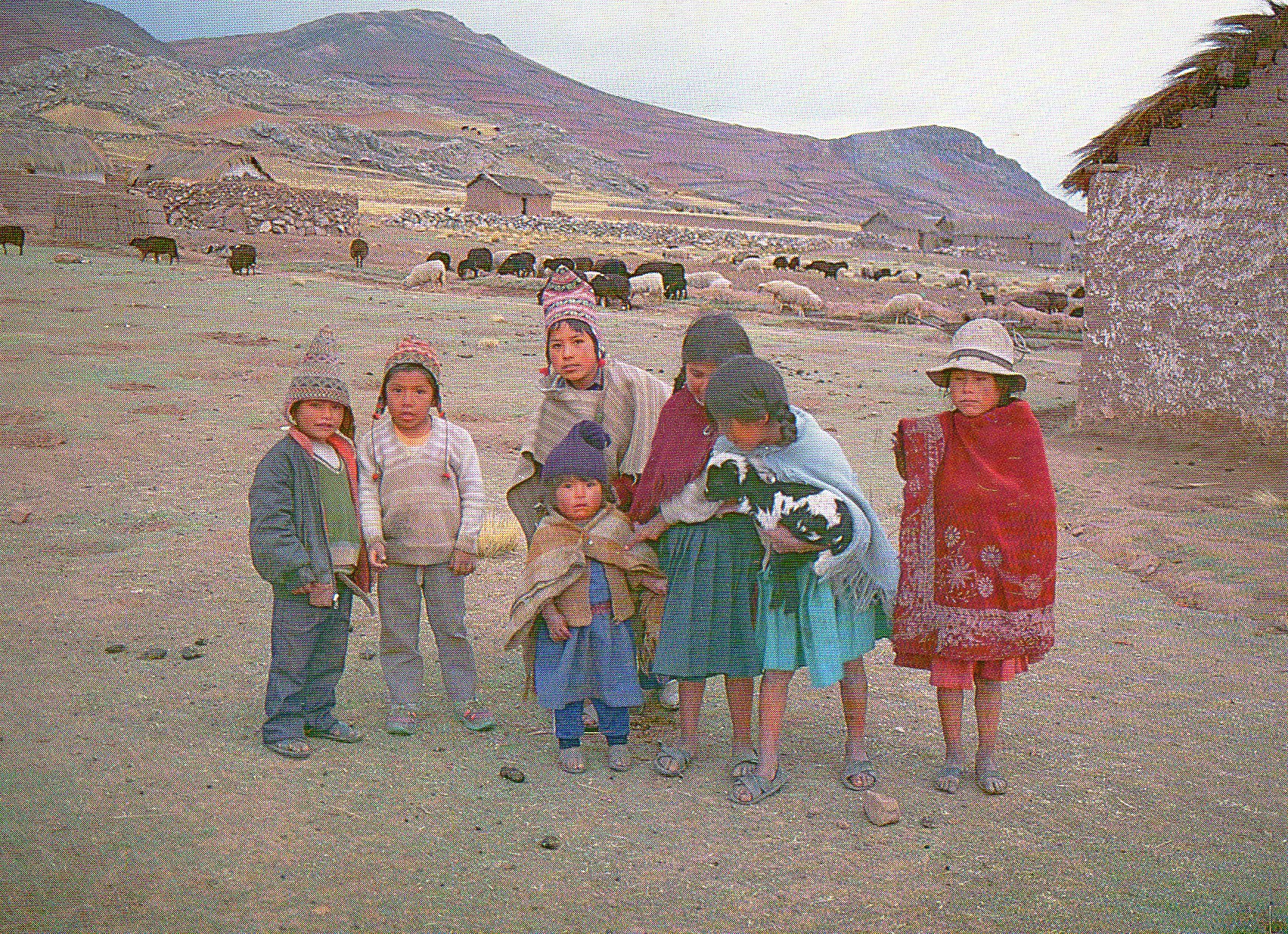 Grupo de niñas y niños en comunidad andina